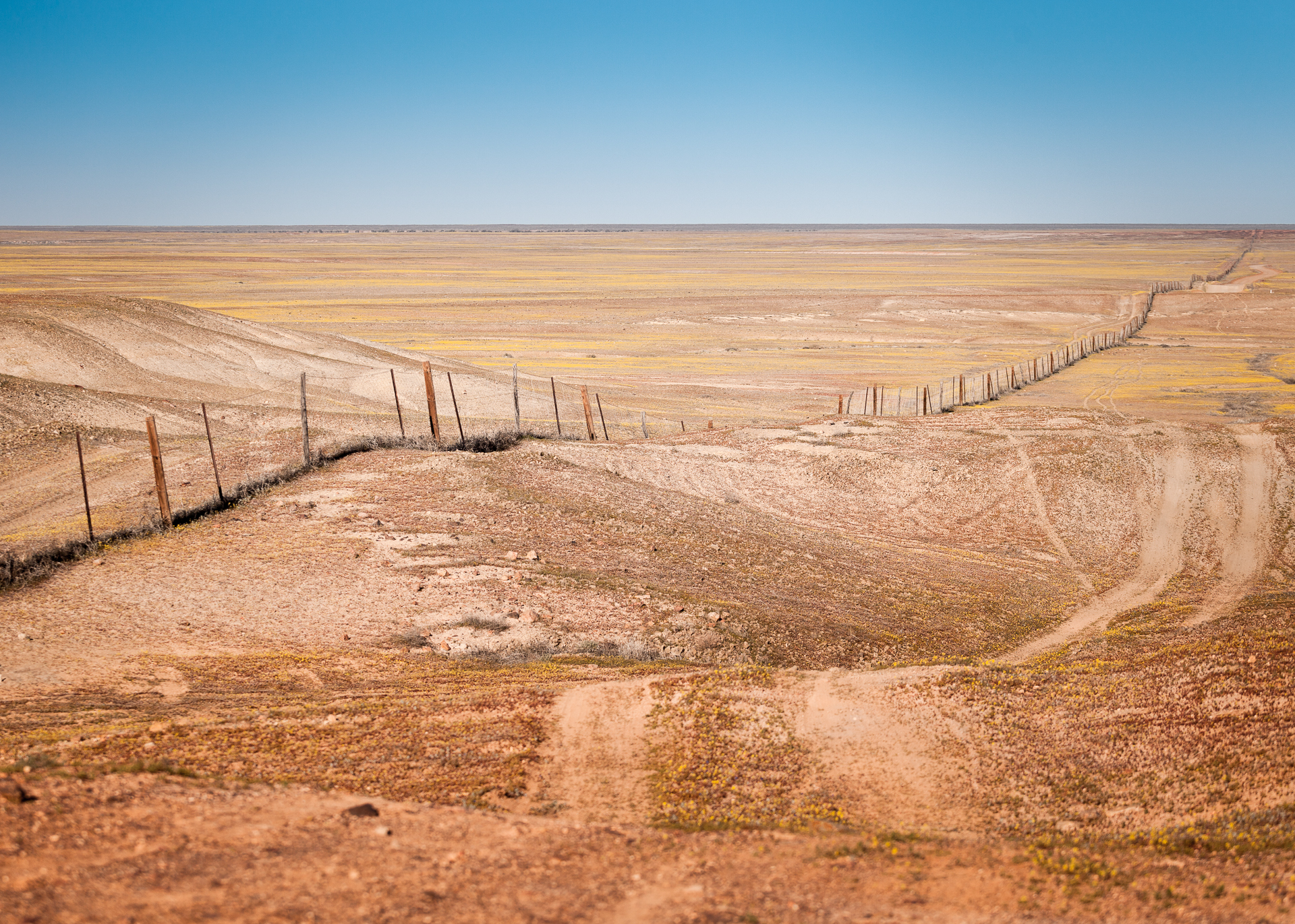 La Dog Fence près de Coober Pedy au centre de l'Australie