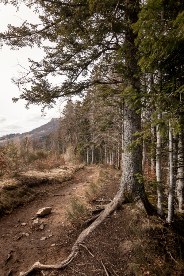 Les Monts Dore et les sentiers de randonnée